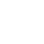 icons8-site-web-blanc